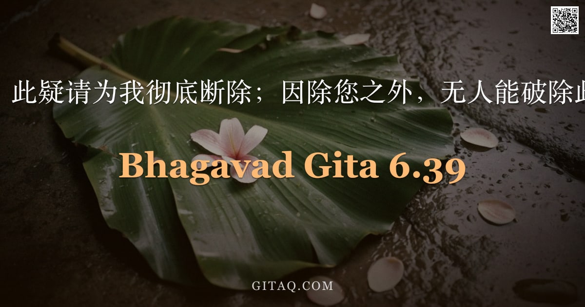 薄伽梵歌 6.39 — "世尊，此疑请为我彻底断除；因除您之外，无人能破除此疑。"