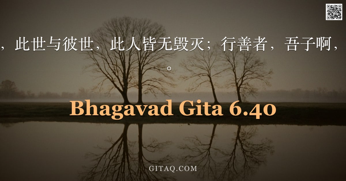 薄伽梵歌 6.40 — "圣主说：阿周那，此世与彼世，此人皆无毁灭；行善者，吾子啊，绝不至堕入恶道。"