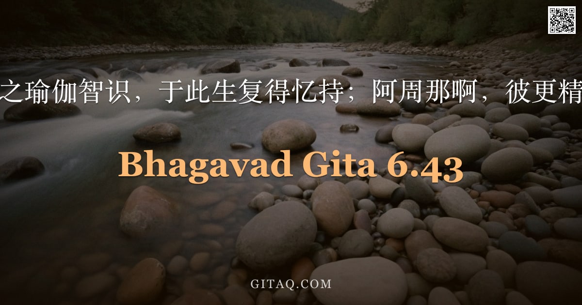 薄伽梵歌 6.43 — "彼于前世所修之瑜伽智识，于此生复得忆持；阿周那啊，彼更精进以求圆满。"