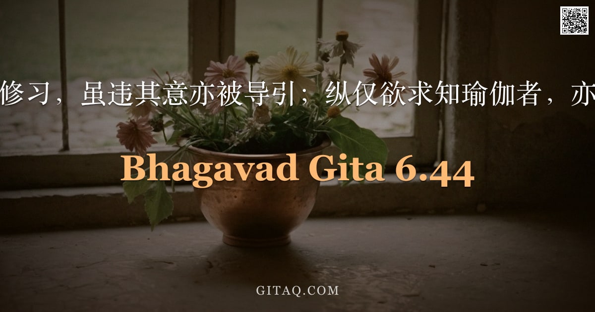 薄伽梵歌 6.44 — "彼由昔日之修习，虽违其意亦被导引；纵仅欲求知瑜伽者，亦超越梵音。"