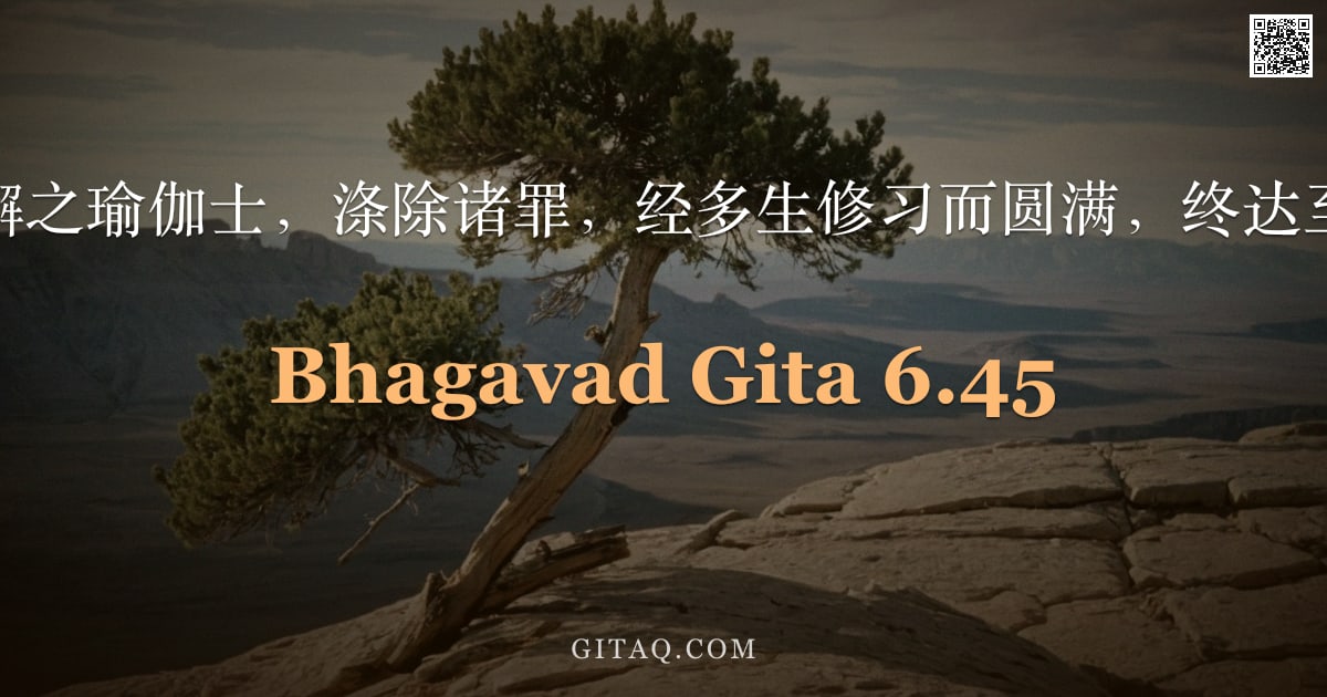 薄伽梵歌 6.45 — "然精进不懈之瑜伽士，涤除诸罪，经多生修习而圆满，终达至高之境。"