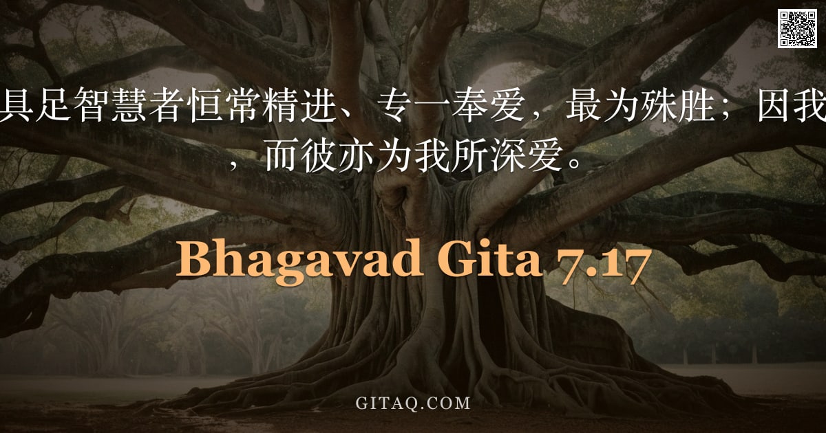 薄伽梵歌 7.17 — "在这四类人中，具足智慧者恒常精进、专一奉爱，最为殊胜；因我极珍爱具智之人，而彼亦为我所深爱。"