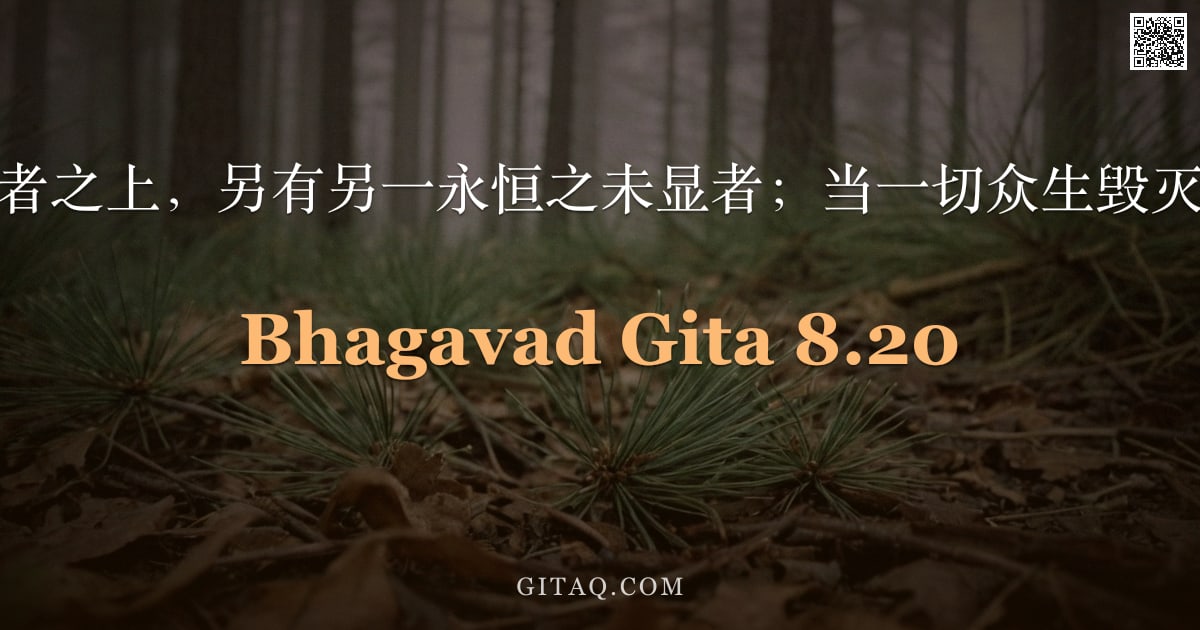 薄伽梵歌 8.20 — "然而，在此未显者之上，另有另一永恒之未显者；当一切众生毁灭时，彼亦不毁。"