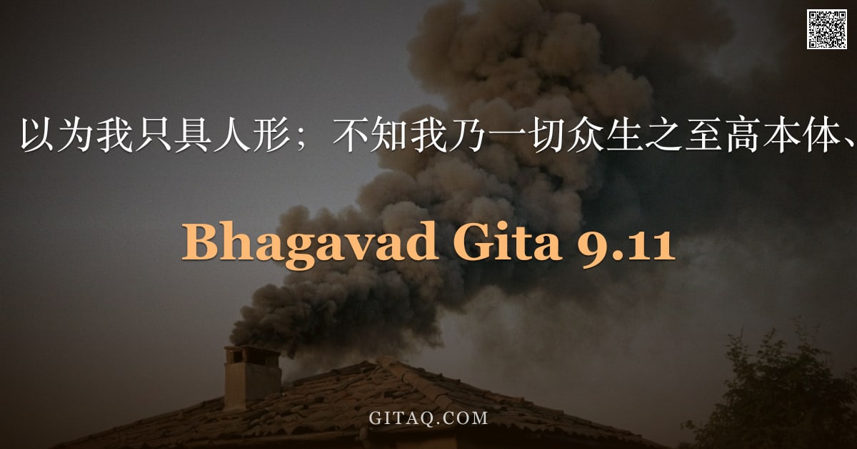 薄伽梵歌 9.11 — "愚者轻慢我，以为我只具人形；不知我乃一切众生之至高本体、大自在主。"