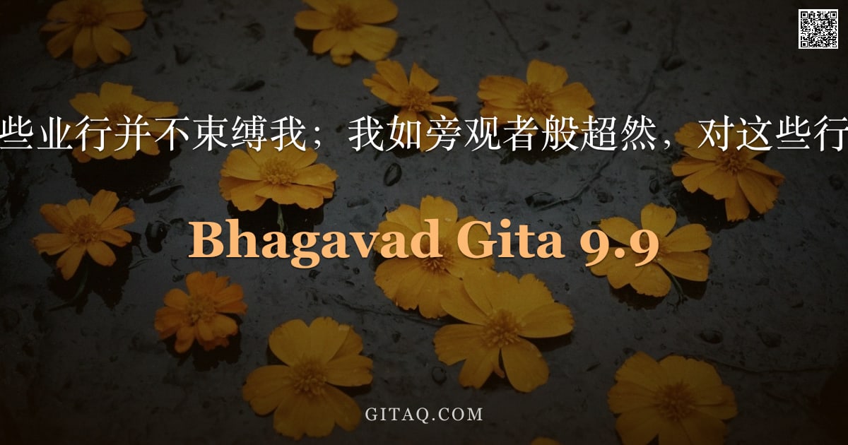 薄伽梵歌 9.9 — "阿周那啊，这些业行并不束缚我；我如旁观者般超然，对这些行为无所执着。"