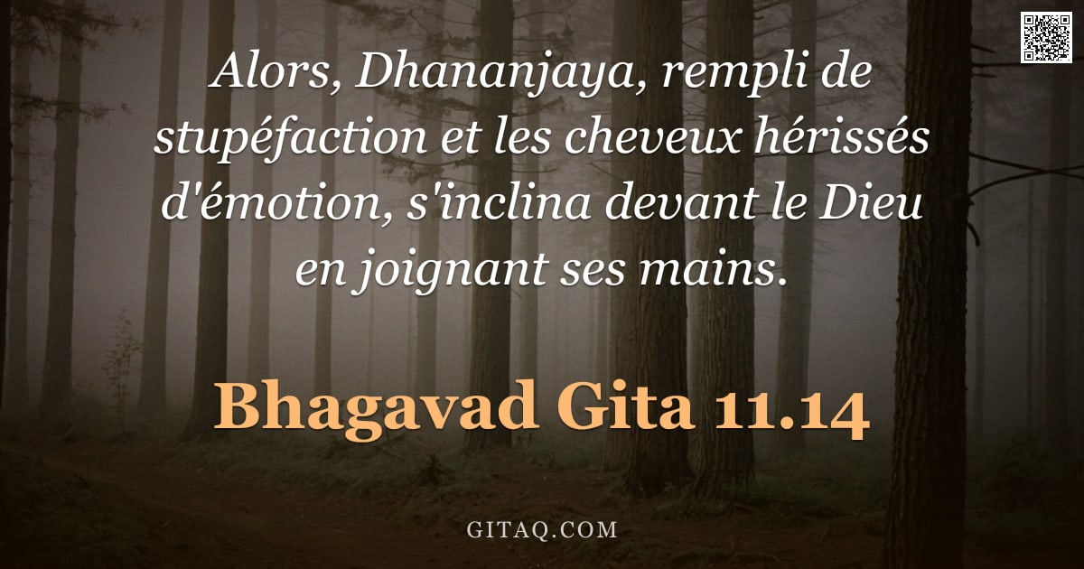Bhagavad-Gîtâ 11.14 — "Alors, Dhananjaya, rempli de stupéfaction et les cheveux hérissés d'émotion, s'inclina devant le Die"