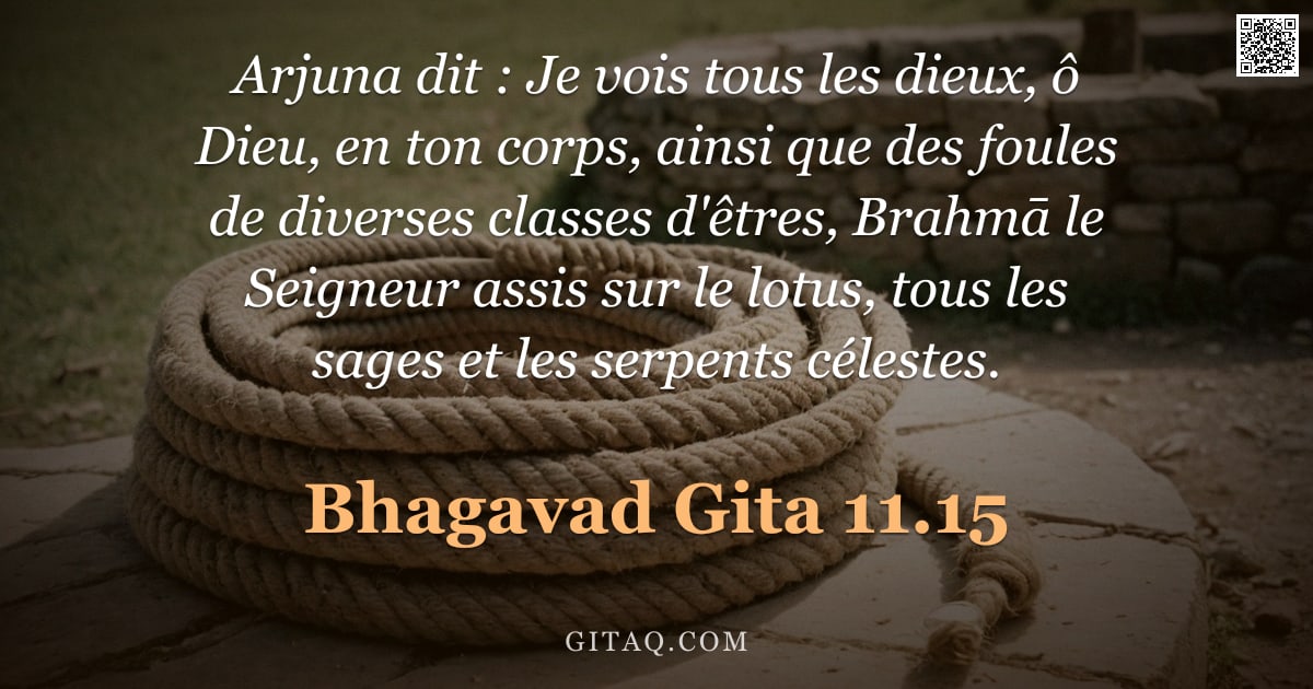 Bhagavad-Gîtâ 11.15 — "Arjuna dit : Je vois tous les dieux, ô Dieu, en ton corps, ainsi que des foules de diverses classes "