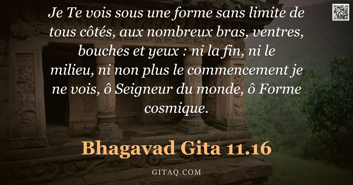 Bhagavad-Gîtâ 11.16 — "Je Te vois sous une forme sans limite de tous côtés, aux nombreux bras, ventres, bouches et yeux : n"