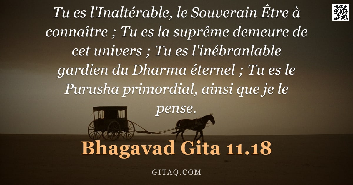 Bhagavad-Gîtâ 11.18 — "Tu es l'Inaltérable, le Souverain Être à connaître ; Tu es la suprême demeure de cet univers ; Tu es"