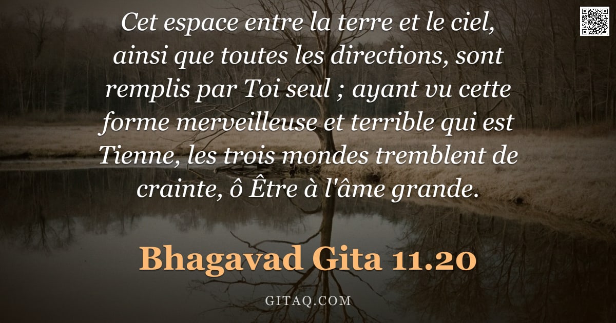 Bhagavad-Gîtâ 11.20 — "Cet espace entre la terre et le ciel, ainsi que toutes les directions, sont remplis par Toi seul ; a"