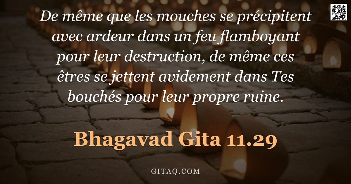 Bhagavad-Gîtâ 11.29 — "De même que les mouches se précipitent avec ardeur dans un feu flamboyant pour leur destruction, de "