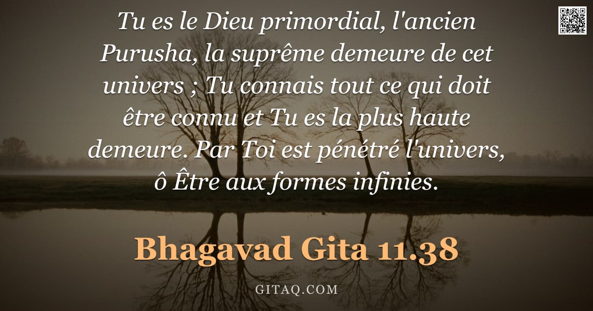 Bhagavad-Gîtâ 11.38 — "Tu es le Dieu primordial, l'ancien Purusha, la suprême demeure de cet univers ; Tu connais tout ce q"