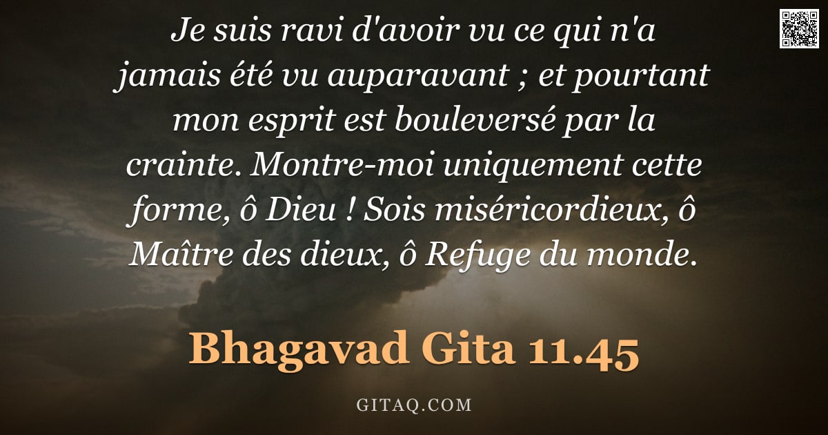 Bhagavad-Gîtâ 11.45 — "Je suis ravi d'avoir vu ce qui n'a jamais été vu auparavant ; et pourtant mon esprit est bouleversé "