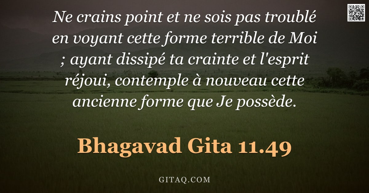 Bhagavad-Gîtâ 11.49 — "Ne crains point et ne sois pas troublé en voyant cette forme terrible de Moi ; ayant dissipé ta crai"