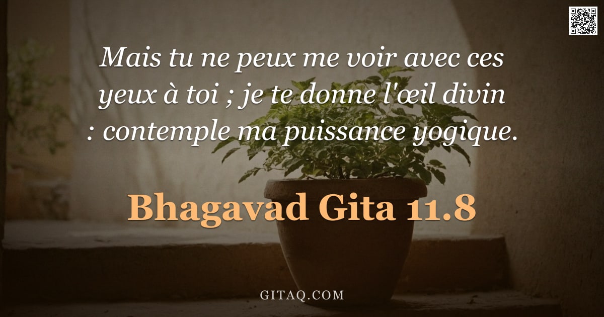 Bhagavad-Gîtâ 11.8 — "Mais tu ne peux me voir avec ces yeux à toi ; je te donne l'œil divin : contemple ma puissance yogiq"