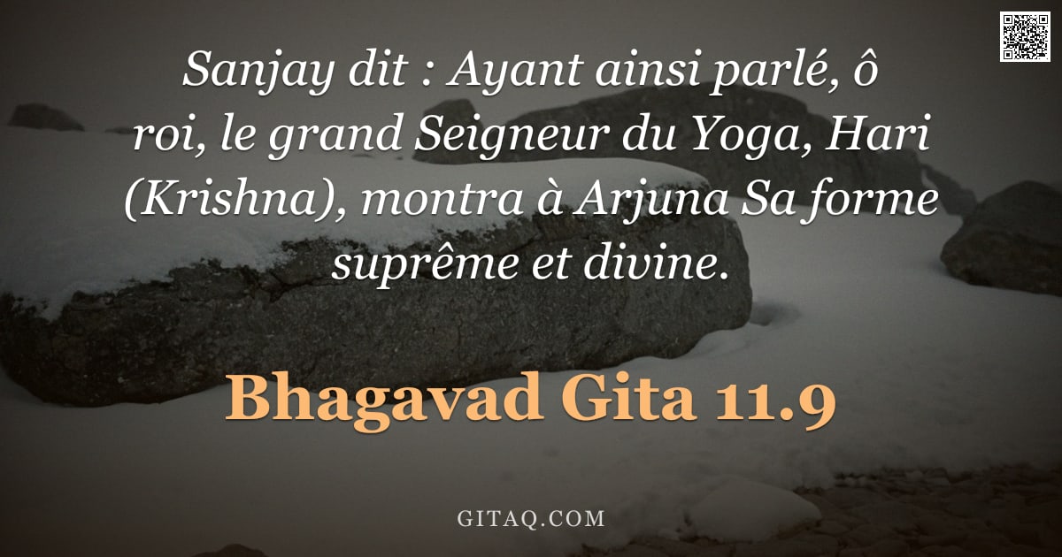Bhagavad-Gîtâ 11.9 — "Sanjay dit : Ayant ainsi parlé, ô roi, le grand Seigneur du Yoga, Hari (Krishna), montra à Arjuna Sa"