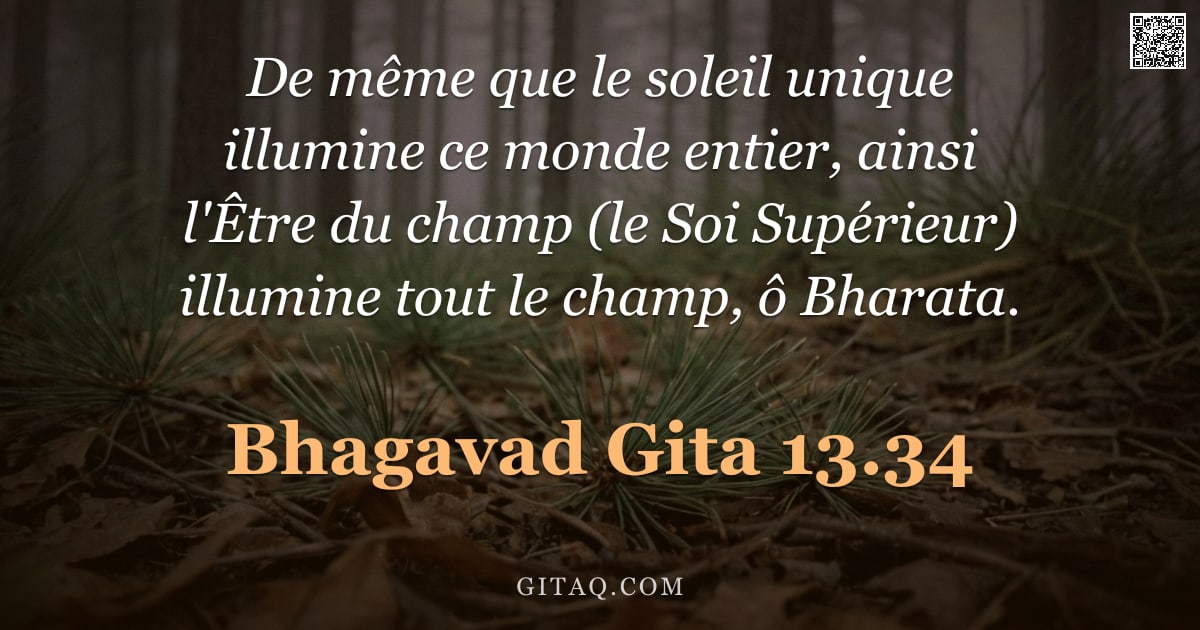 Bhagavad-Gîtâ 13.34 — "De même que le soleil unique illumine ce monde entier, ainsi l'Être du champ (le Soi Supérieur) illu"