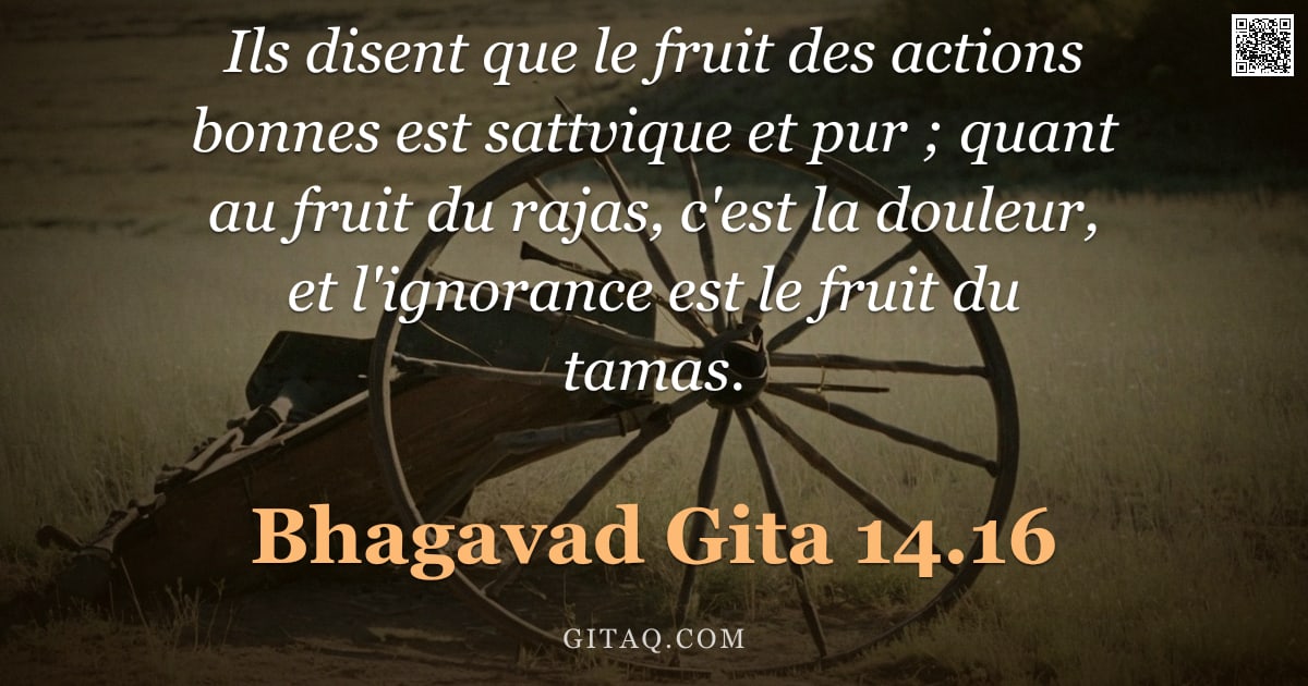 Bhagavad-Gîtâ 14.16 — "Ils disent que le fruit des actions bonnes est sattvique et pur ; quant au fruit du rajas, c'est la "