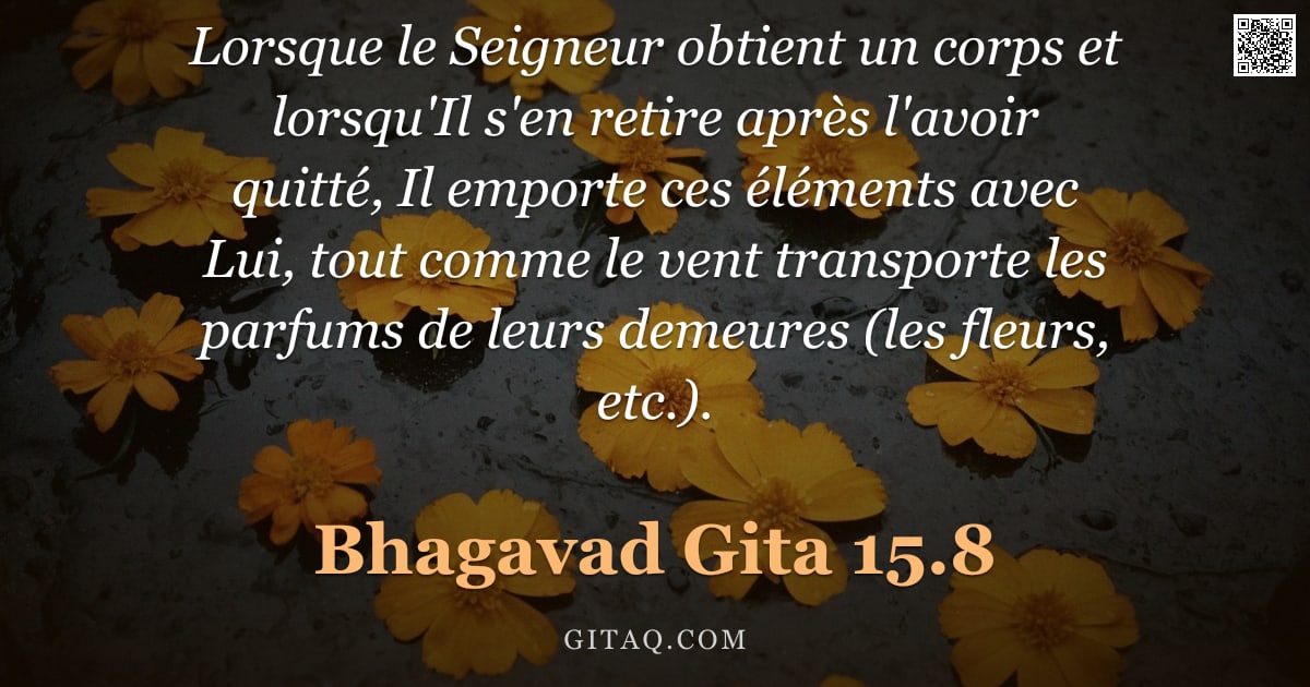Bhagavad-Gîtâ 15.8 — "Lorsque le Seigneur obtient un corps et lorsqu'Il s'en retire après l'avoir quitté, Il emporte ces é"
