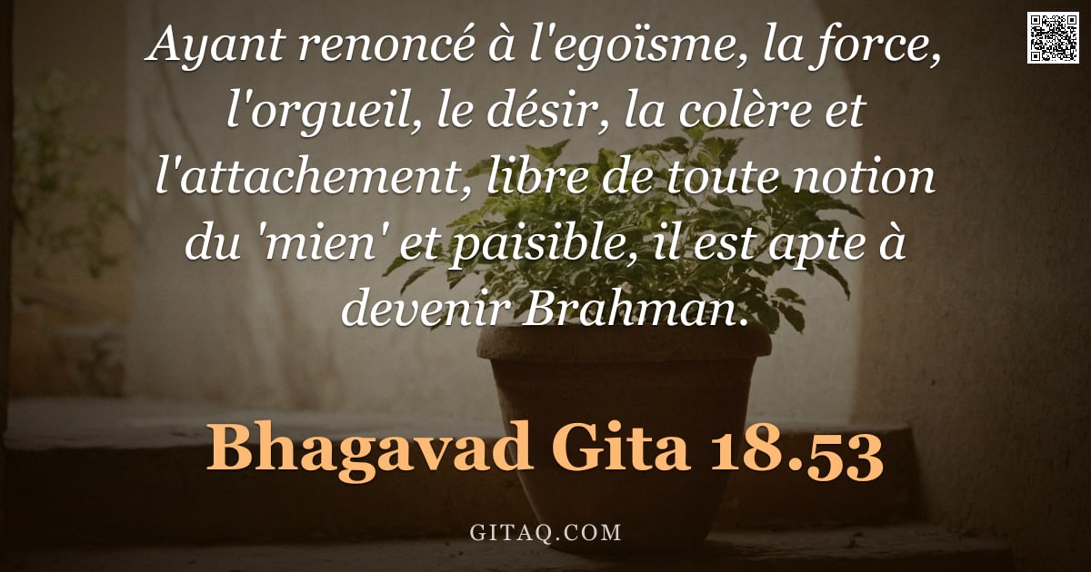 Bhagavad-Gîtâ 18.53 — "Ayant renoncé à l'egoïsme, la force, l'orgueil, le désir, la colère et l'attachement, libre de toute"