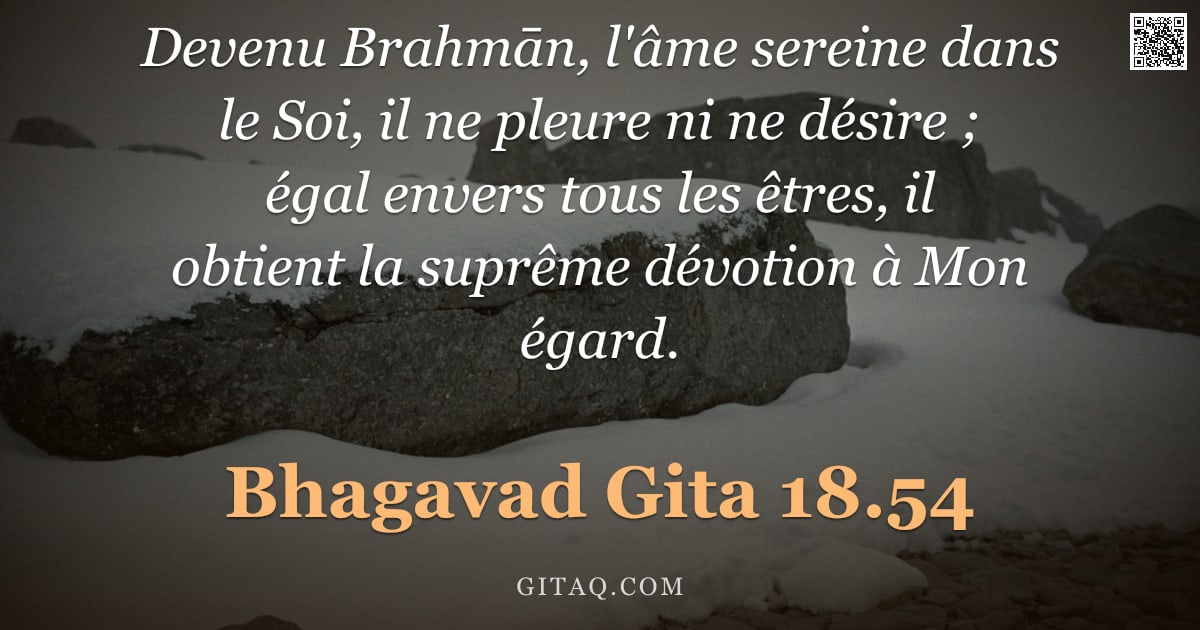 Bhagavad-Gîtâ 18.54 — "Devenu Brahmān, l'âme sereine dans le Soi, il ne pleure ni ne désire ; égal envers tous les êtres, i"