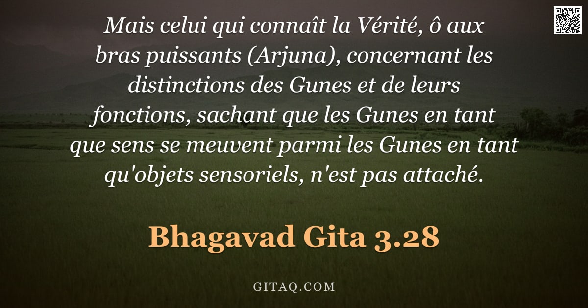 Bhagavad-Gîtâ 3.28 — "Mais celui qui connaît la Vérité, ô aux bras puissants (Arjuna), concernant les distinctions des Gun"