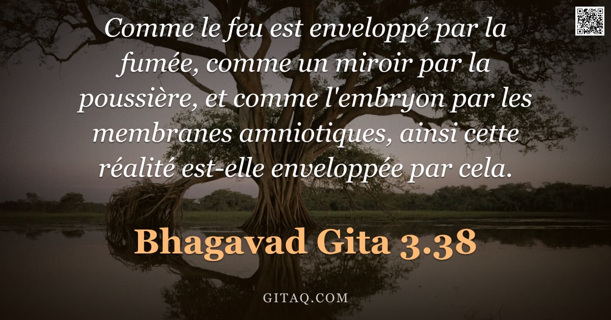 Bhagavad-Gîtâ 3.38 — "Comme le feu est enveloppé par la fumée, comme un miroir par la poussière, et comme l'embryon par le"