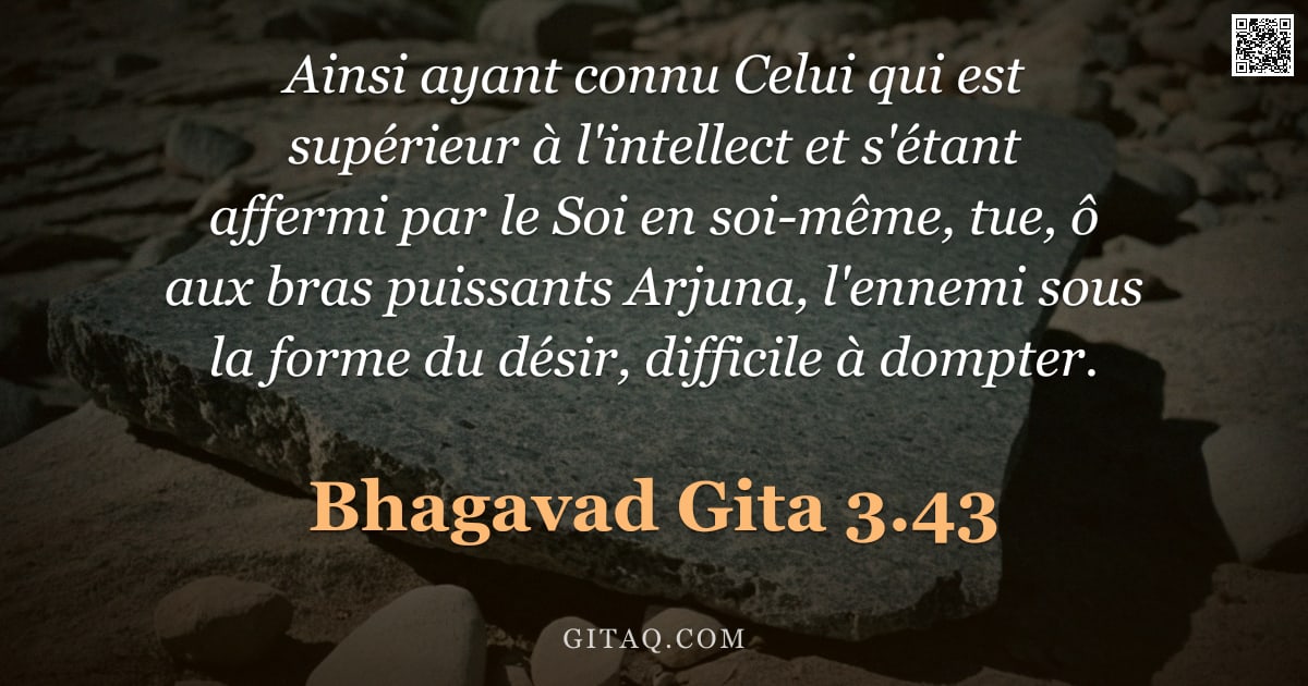 Bhagavad-Gîtâ 3.43 — "Ainsi ayant connu Celui qui est supérieur à l'intellect et s'étant affermi par le Soi en soi-même, t"