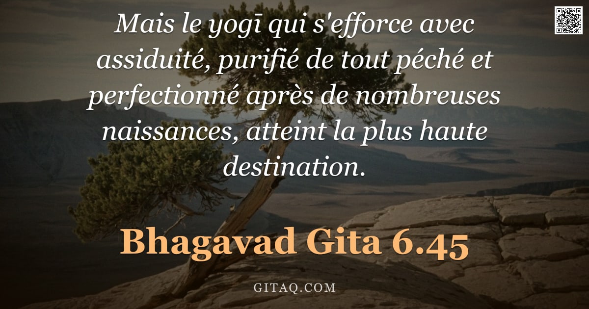 Bhagavad-Gîtâ 6.45 — "Mais le yogī qui s'efforce avec assiduité, purifié de tout péché et perfectionné après de nombreuses"