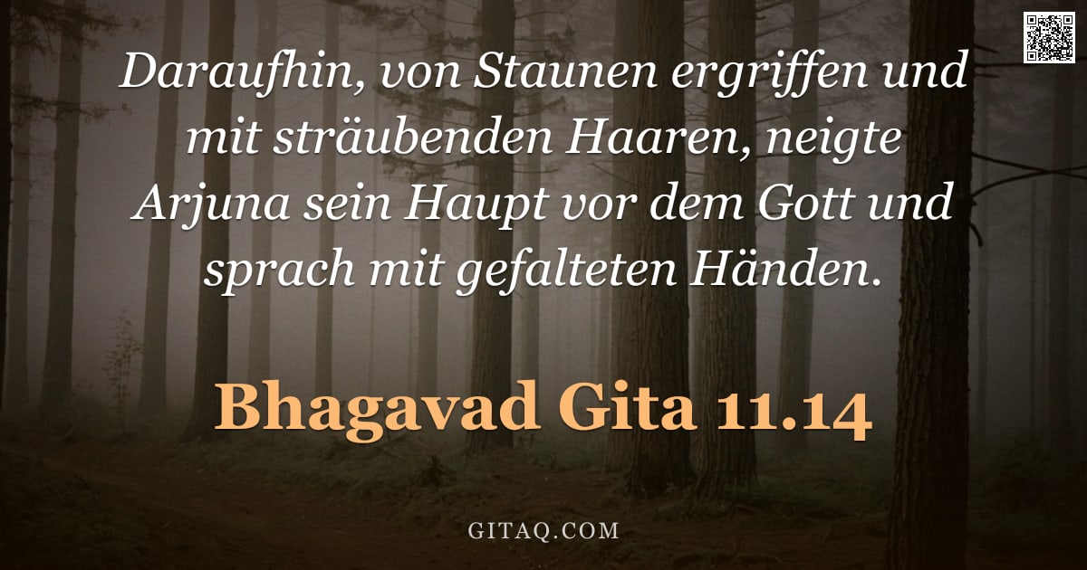 Bhagavad Gita 11.14 — "Daraufhin, von Staunen ergriffen und mit sträubenden Haaren, neigte Arjuna sein Haupt vor dem Gott u"