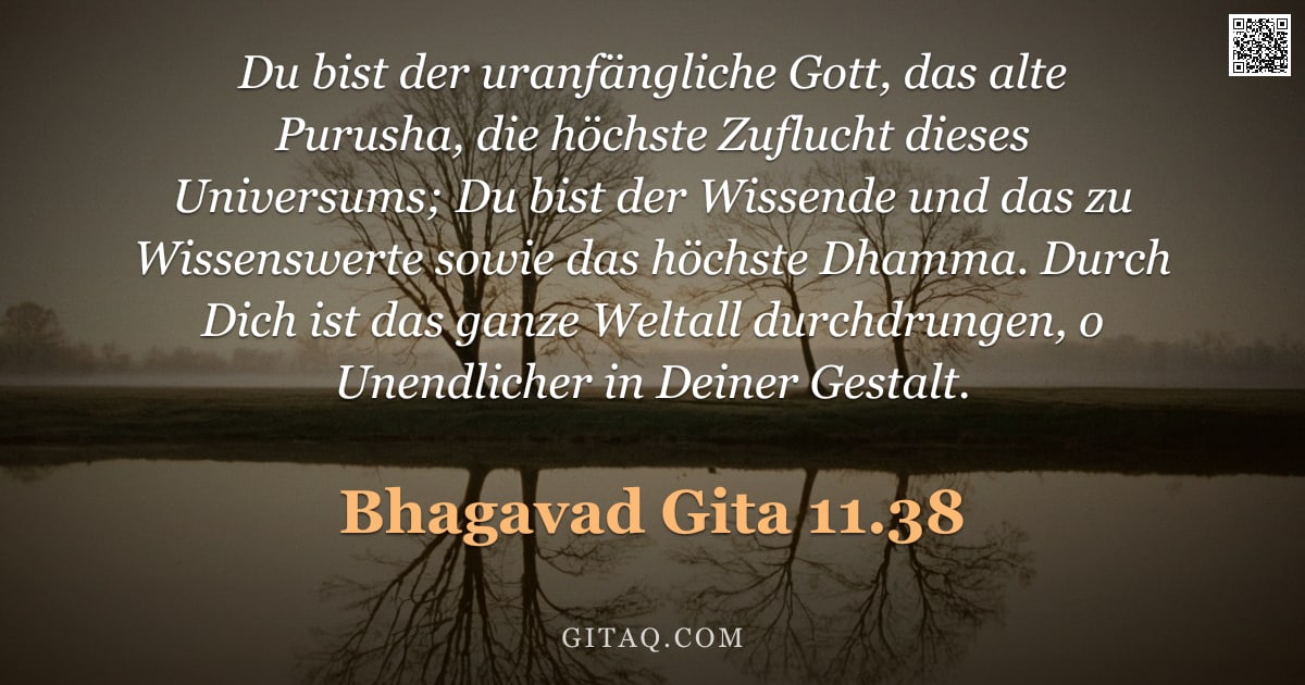 Bhagavad Gita 11.38 — "Du bist der uranfängliche Gott, das alte Purusha, die höchste Zuflucht dieses Universums; Du bist de"