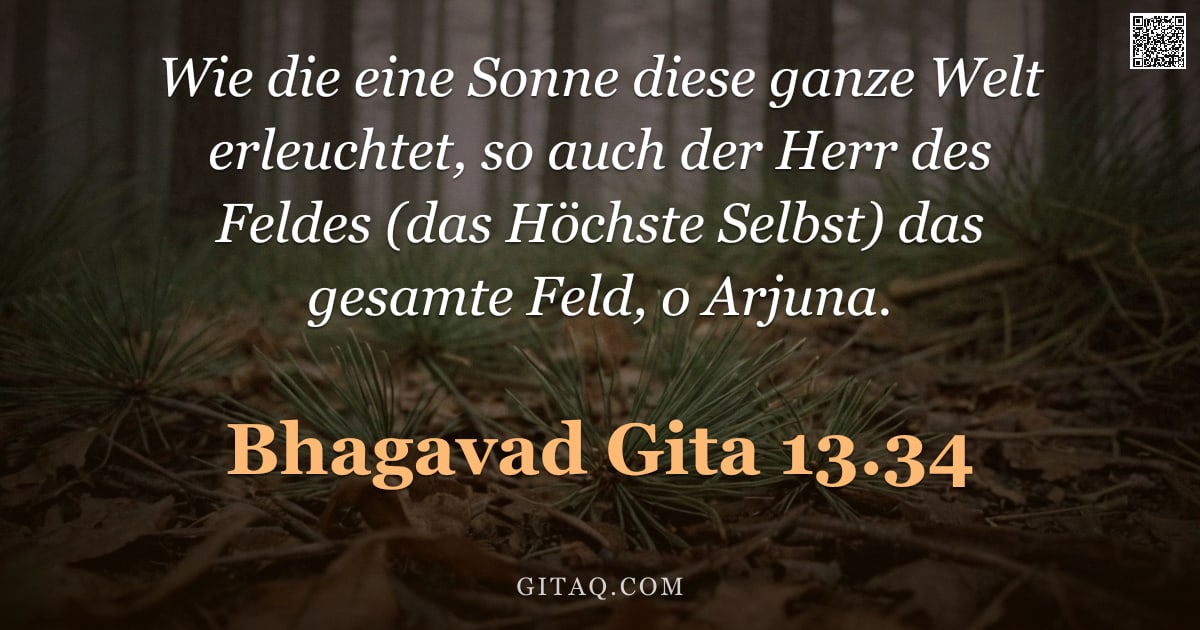 Bhagavad Gita 13.34 — "Wie die eine Sonne diese ganze Welt erleuchtet, so auch der Herr des Feldes (das Höchste Selbst) das"