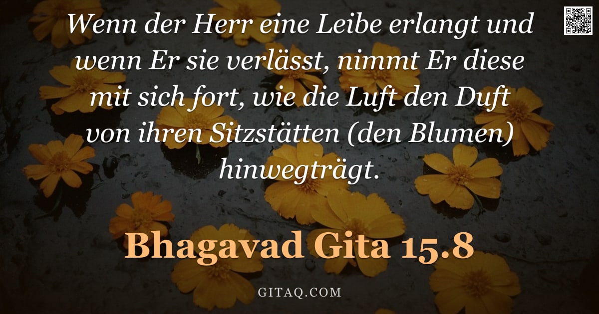 Bhagavad Gita 15.8 — "Wenn der Herr eine Leibe erlangt und wenn Er sie verlässt, nimmt Er diese mit sich fort, wie die Luf"
