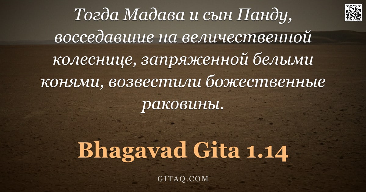 Бхагавад-гита 1.14 — "Тогда Мадава и сын Панду, восседавшие на величественной колеснице, запряженной белыми конями, возвес"