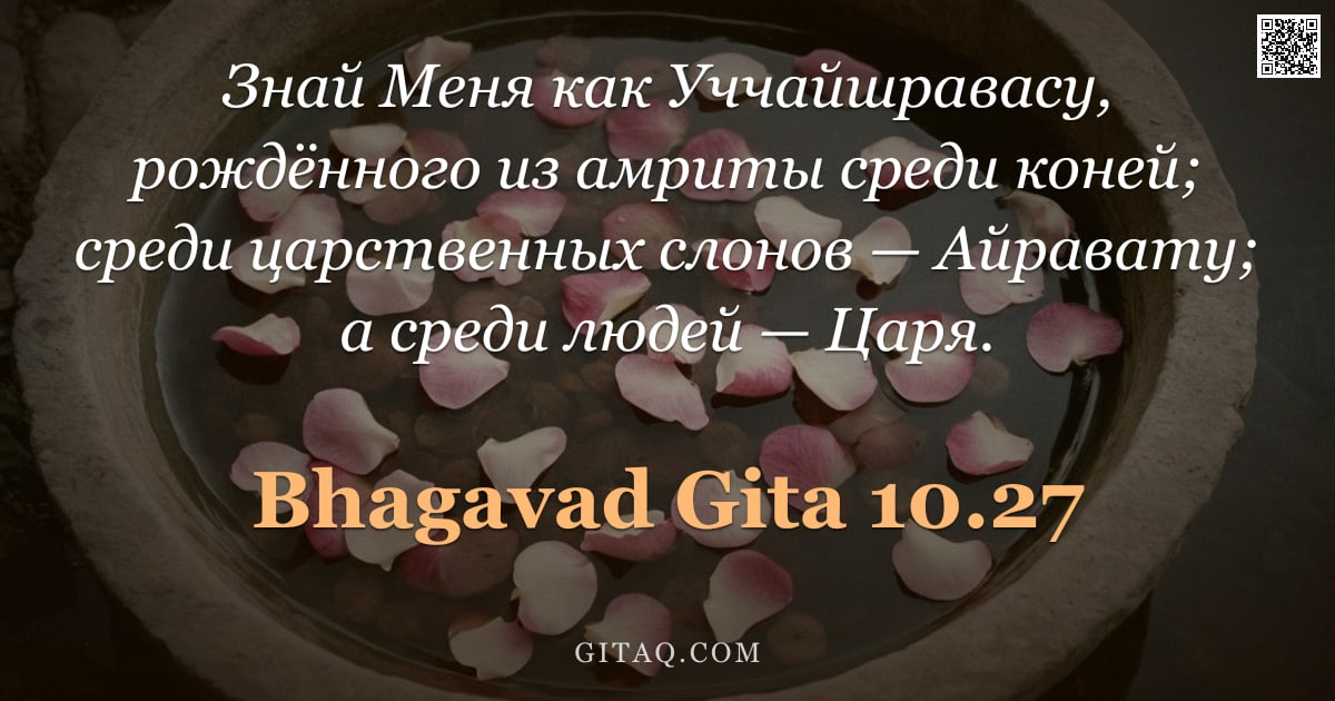 Бхагавад-гита 10.27 — "Знай Меня как Уччайшравасу, рождённого из амриты среди коней; среди царственных слонов — Айравату; а"