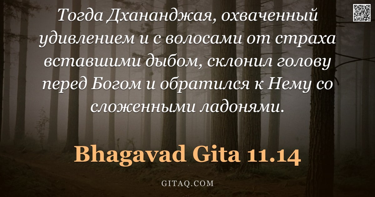 Бхагавад-гита 11.14 — "Тогда Дхананджая, охваченный удивлением и с волосами от страха вставшими дыбом, склонил голову перед"