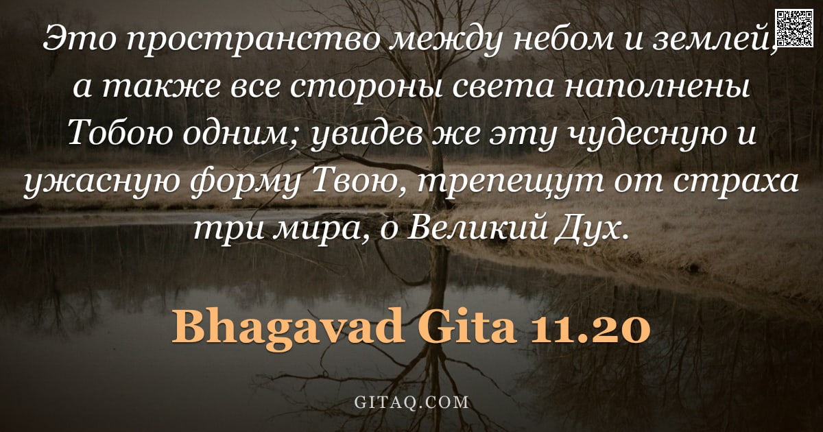 Бхагавад-гита 11.20 — "Это пространство между небом и землей, а также все стороны света наполнены Тобою одним; увидев же эт"