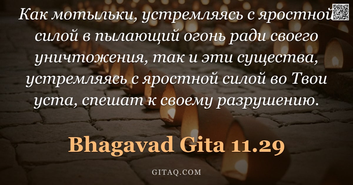 Бхагавад-гита 11.29 — "Как мотыльки, устремляясь с яростной силой в пылающий огонь ради своего уничтожения, так и эти сущес"