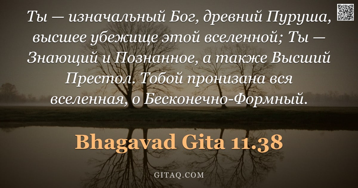 Бхагавад-гита 11.38 — "Ты — изначальный Бог, древний Пуруша, высшее убежище этой вселенной; Ты — Знающий и Познанное, а так"
