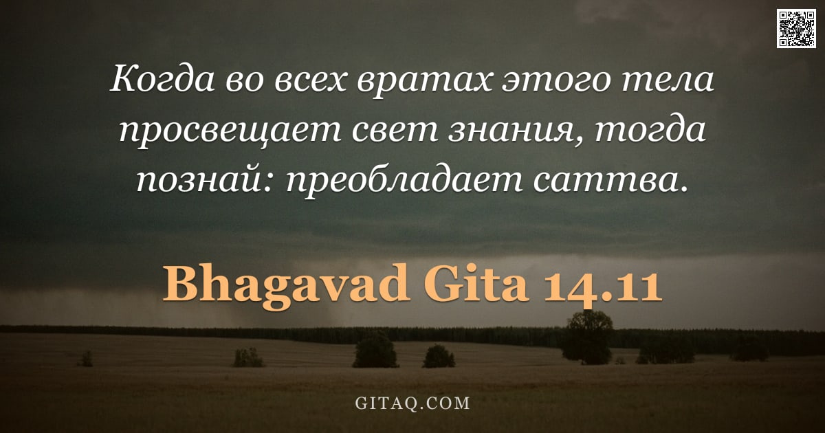 Бхагавад-гита 14.11 — "Когда во всех вратах этого тела просвещает свет знания, тогда познай: преобладает саттва."