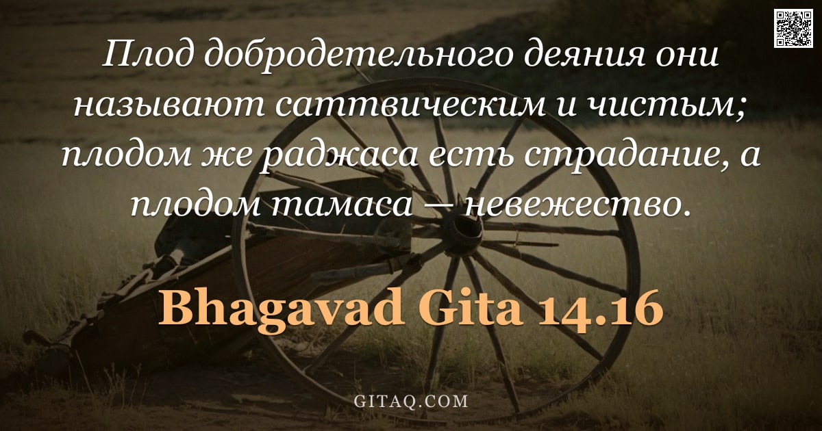 Бхагавад-гита 14.16 — "Плод добродетельного деяния они называют саттвическим и чистым; плодом же раджаса есть страдание, а "