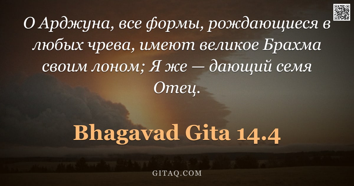 Бхагавад-гита 14.4 — "О Арджуна, все формы, рождающиеся в любых чрева, имеют великое Брахма своим лоном; Я же — дающий сем"