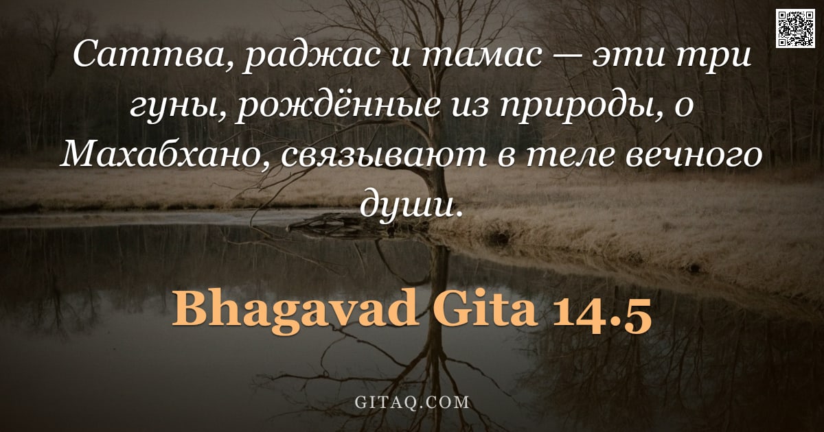 Бхагавад-гита 14.5 — "Саттва, раджас и тамас — эти три гуны, рождённые из природы, о Махабхано, связывают в теле вечного д"