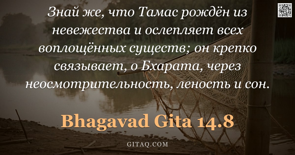 Бхагавад-гита 14.8 — "Знай же, что Тамас рождён из невежества и ослепляет всех воплощённых существ; он крепко связывает, о"