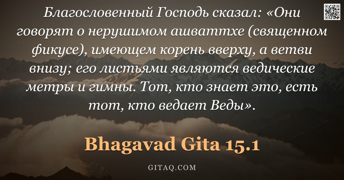 Бхагавад-гита 15.1 — "Благословенный Господь сказал: «Они говорят о нерушимом ашваттхе (священном фикусе), имеющем корень "