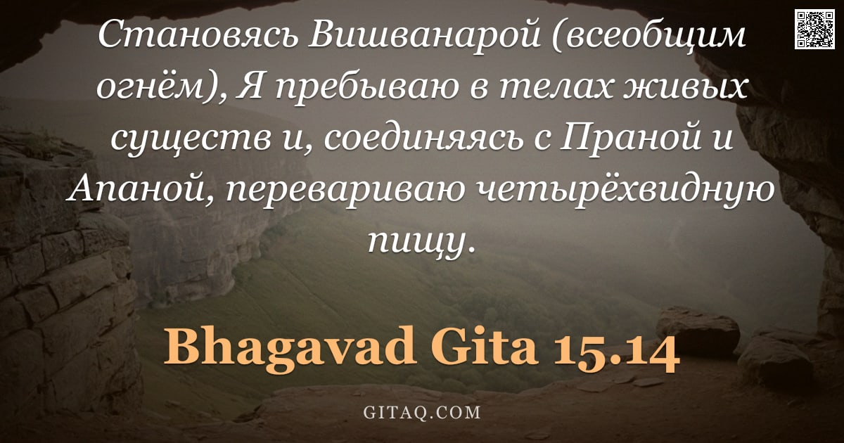 Бхагавад-гита 15.14 — "Становясь Вишванарой (всеобщим огнём), Я пребываю в телах живых существ и, соединяясь с Праной и Апа"
