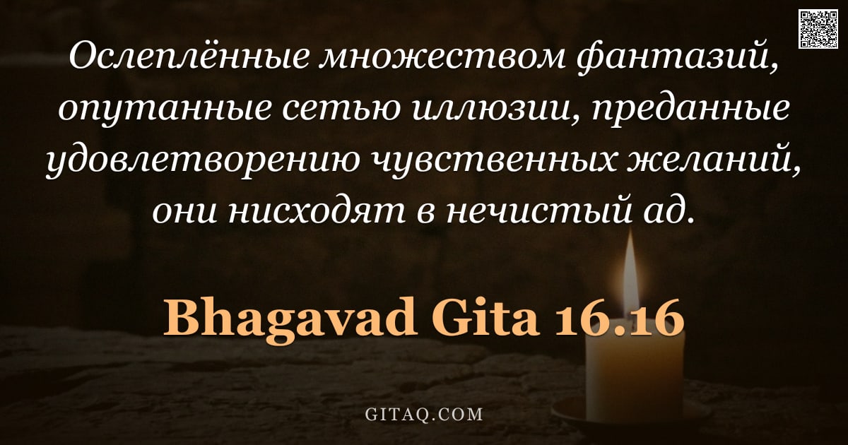 Бхагавад-гита 16.16 — "Ослеплённые множеством фантазий, опутанные сетью иллюзии, преданные удовлетворению чувственных желан"