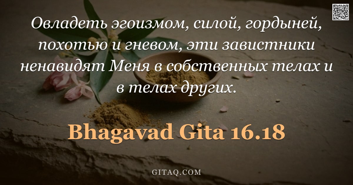 Бхагавад-гита 16.18 — "Овладеть эгоизмом, силой, гордыней, похотью и гневом, эти завистники ненавидят Меня в собственных те"