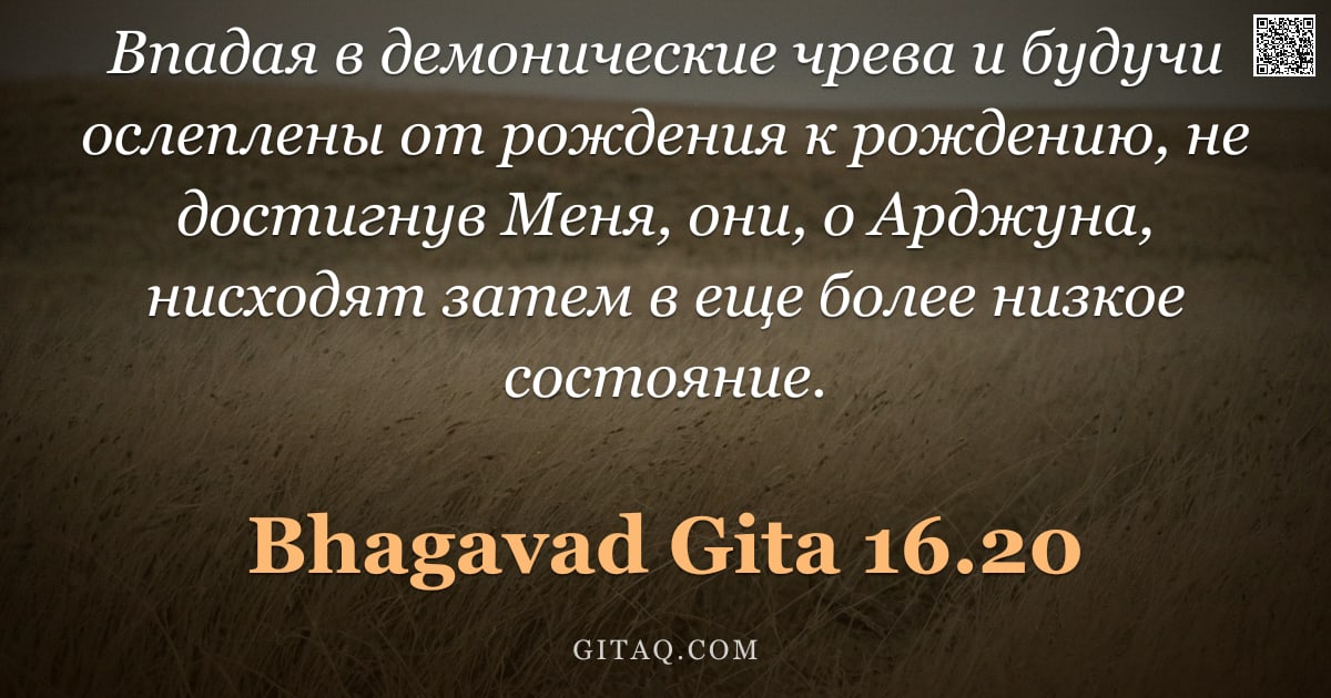 Бхагавад-гита 16.20 — "Впадая в демонические чрева и будучи ослеплены от рождения к рождению, не достигнув Меня, они, о Ард"