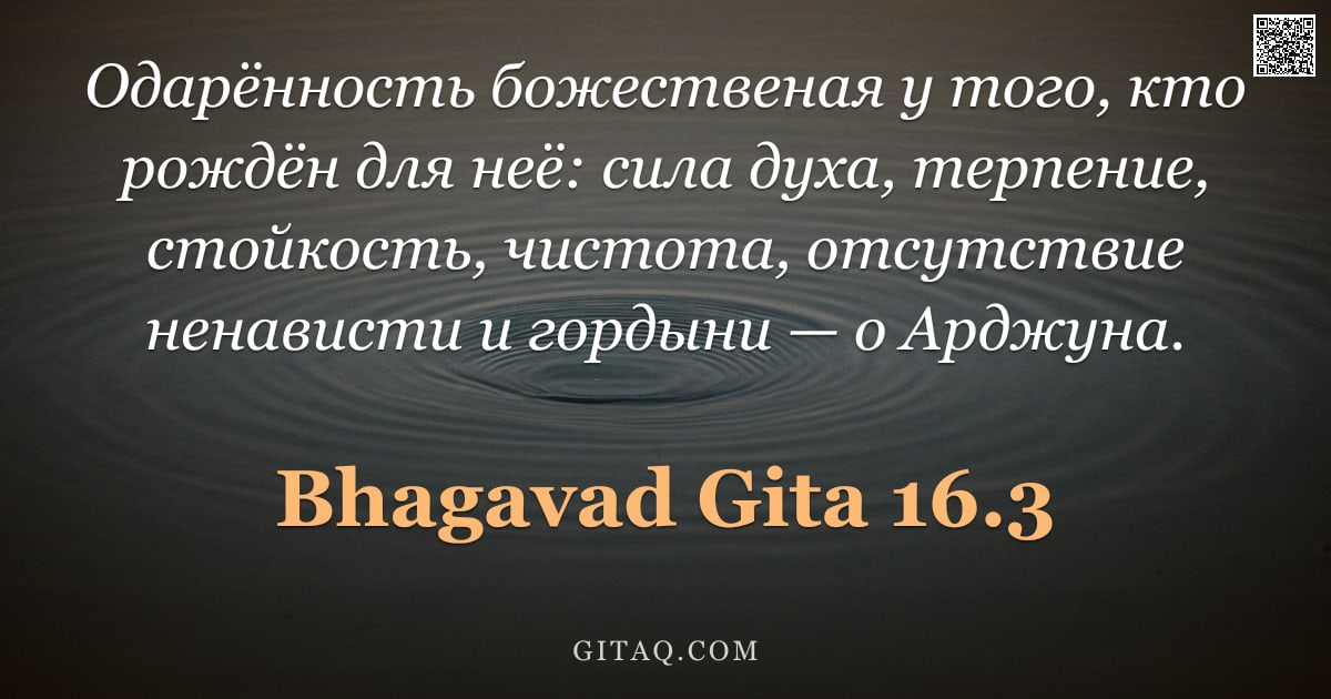 Бхагавад-гита 16.3 — "Одарённость божественая у того, кто рождён для неё: сила духа, терпение, стойкость, чистота, отсутст"